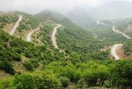 ۱۵۰ هکتار جنگل برای مقابله آفت پایش شدند