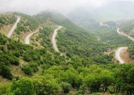 ۱۵۰ هکتار جنگل برای مقابله آفت پایش شدند