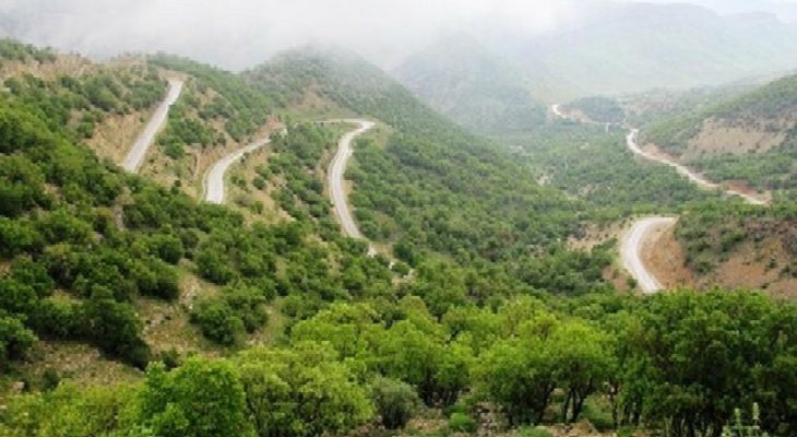 ۱۵۰ هکتار جنگل برای مقابله آفت پایش شدند