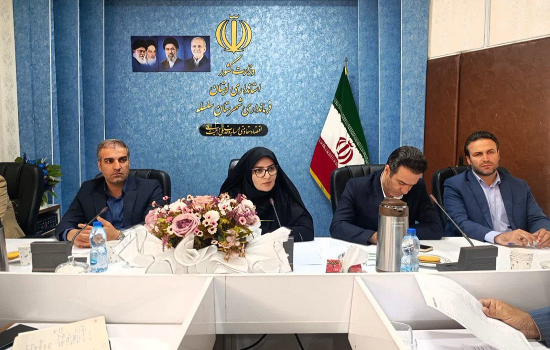 مدل سرمایهگذاری متمرکز راهکار توسعه شهرستان سلسله