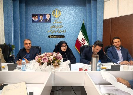 مدل سرمایه‌گذاری متمرکز راهکار توسعه شهرستان سلسله