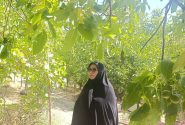محرومیتزدایی امید را به روستاها باز میگرداند