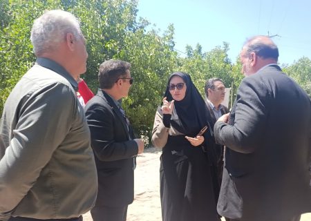 بازدید میدانی از منطقه گردشگری کهمان