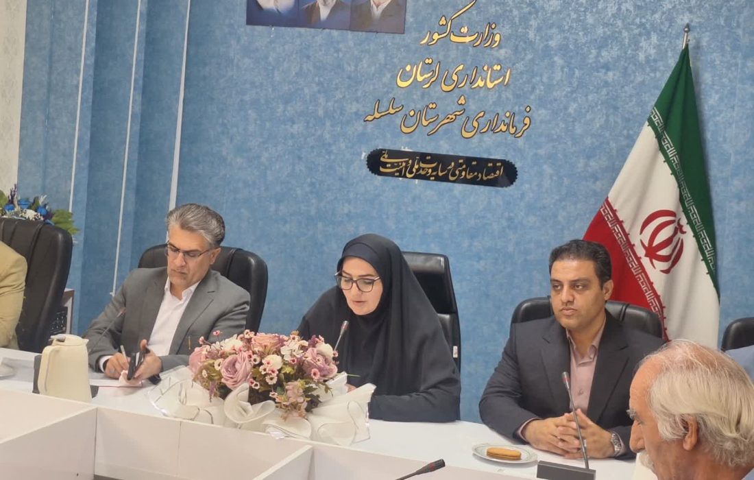 تقویت بدنه فرهنگی و هنری سلسله در اولویت است