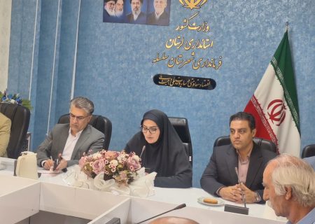 تقویت بدنه فرهنگی و هنری سلسله در اولویت است