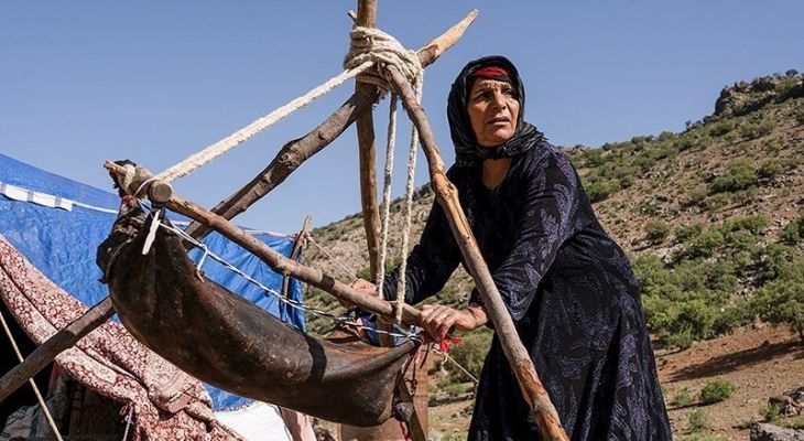 پرداخت ۵۱میلیارد تسهیلات زنجیره تولید به عشایر لرستان