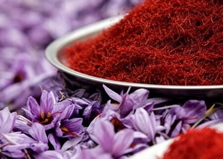 پیش‌بینی برداشت یک تن زعفران در سلسله