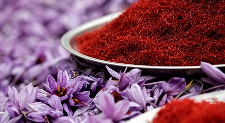 پیش‌بینی برداشت یک تن زعفران در سلسله