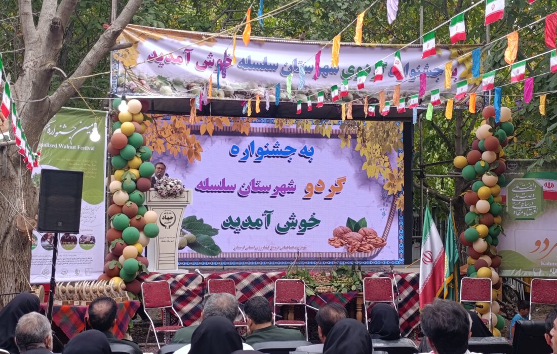 گردوی سلسله در مسیر برندسازی و تکمیل زنجیره ارزش