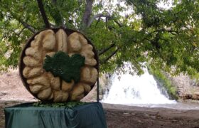 گزارش تصویری؛